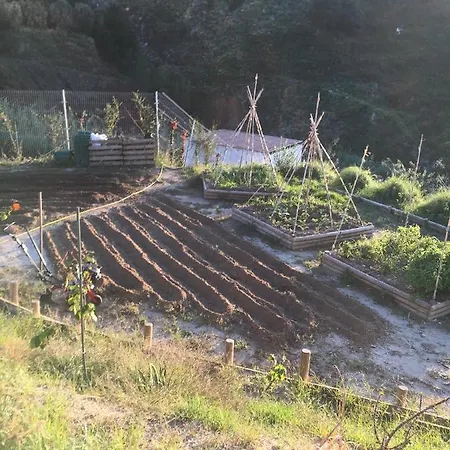 Bed & Breakfast Casa Natura 40 Parghelia