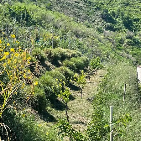 Casa Natura 40 Parghelia