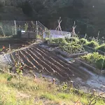 Bed & Breakfast Casa Natura 40 Parghelia