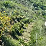 Casa Natura 40 Паргелия