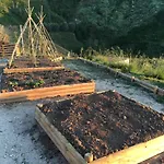 Bed & Breakfast Casa Natura 40 Parghelia