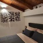 Casa Natura 40 4* Паргелия