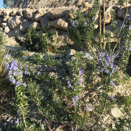 Casa Natura 40 Parghelia