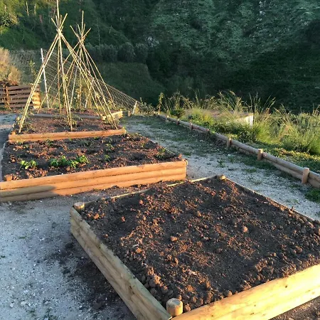 Alojamento de Acomodação e Pequeno-almoço Casa Natura 40 Parghelia