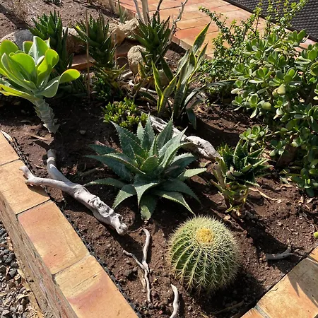 Casa Natura 40 Frühstückspension