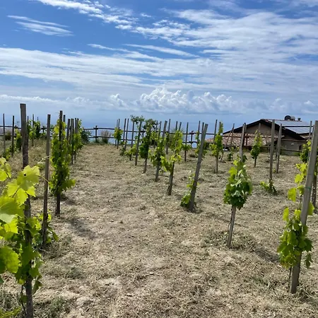 Oda ve Kahvaltı Casa Natura 40