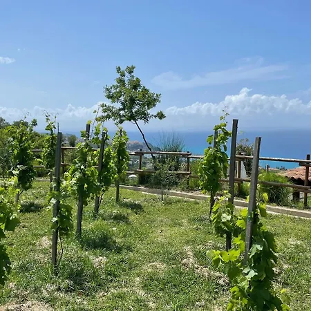 Bed & Breakfast Casa Natura 40 4*