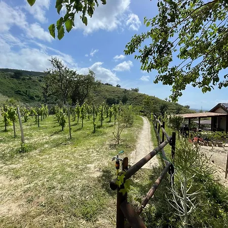 Bed & Breakfast Casa Natura 40