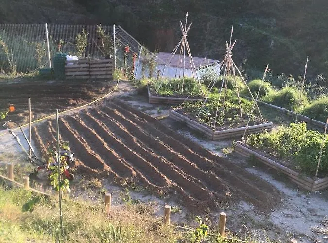 Alojamento de Acomodação e Pequeno-almoço Casa Natura 40 Parghelia