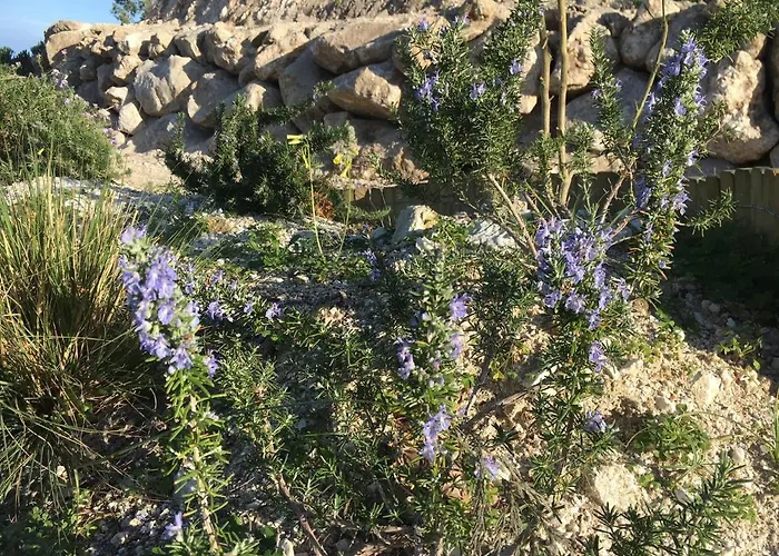 Casa Natura 40 Parghelia