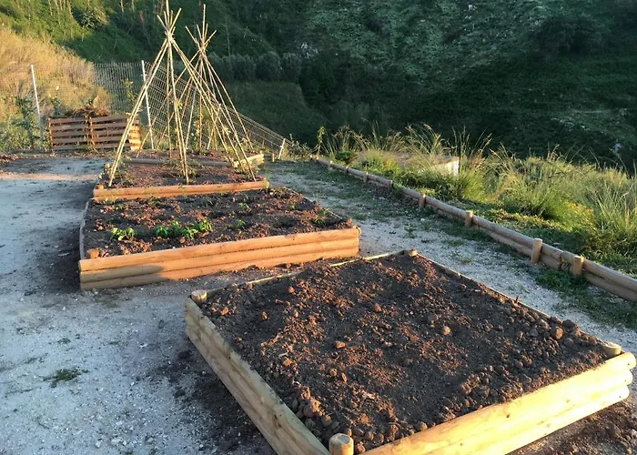 Alojamento de Acomodação e Pequeno-almoço Casa Natura 40 Parghelia