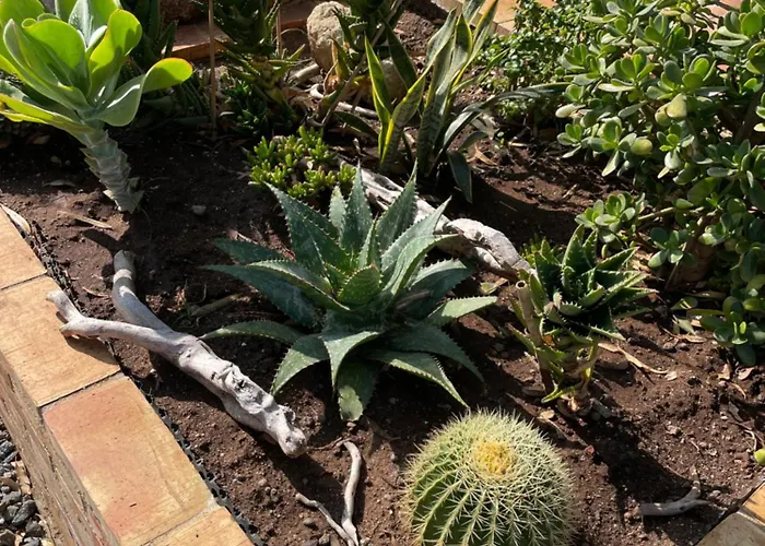 Casa Natura 40 Alojamento de Acomodação e Pequeno-almoço