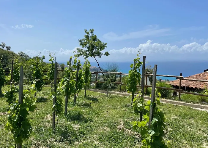 Bed & Breakfast Casa Natura 40 4*